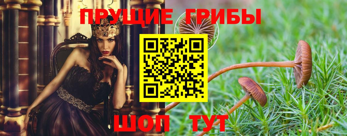 Псилоцибиновые грибы MAGIC MUSHROOMS  Вход с VPN  Добрянка 