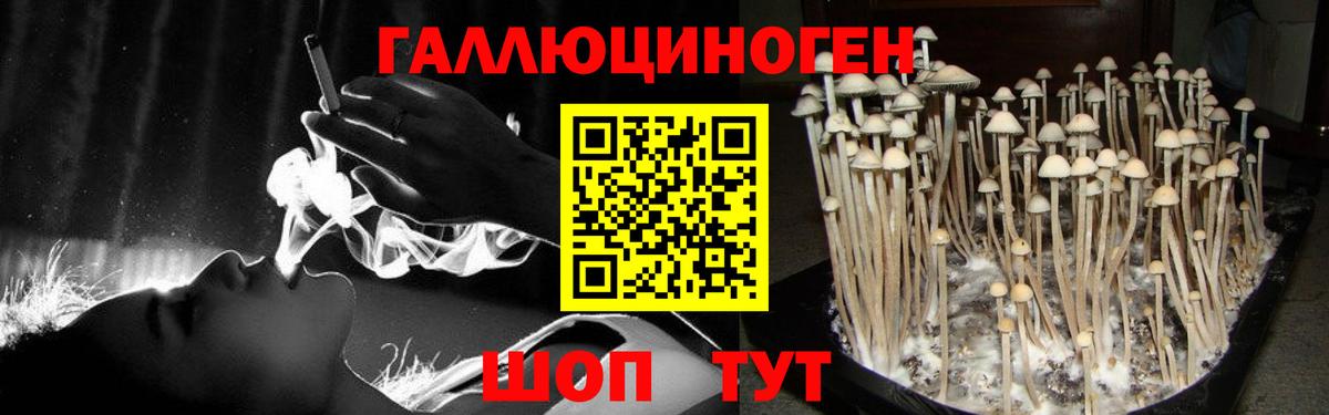 Галлюциногенные грибы Psilocybine cubensis Добрянка